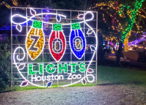 Zoo Lights In Houston