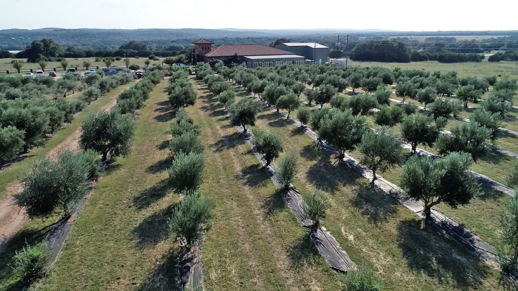 The Texas Bucket List Texas Hill Country Olive Oil Co. in Dripping