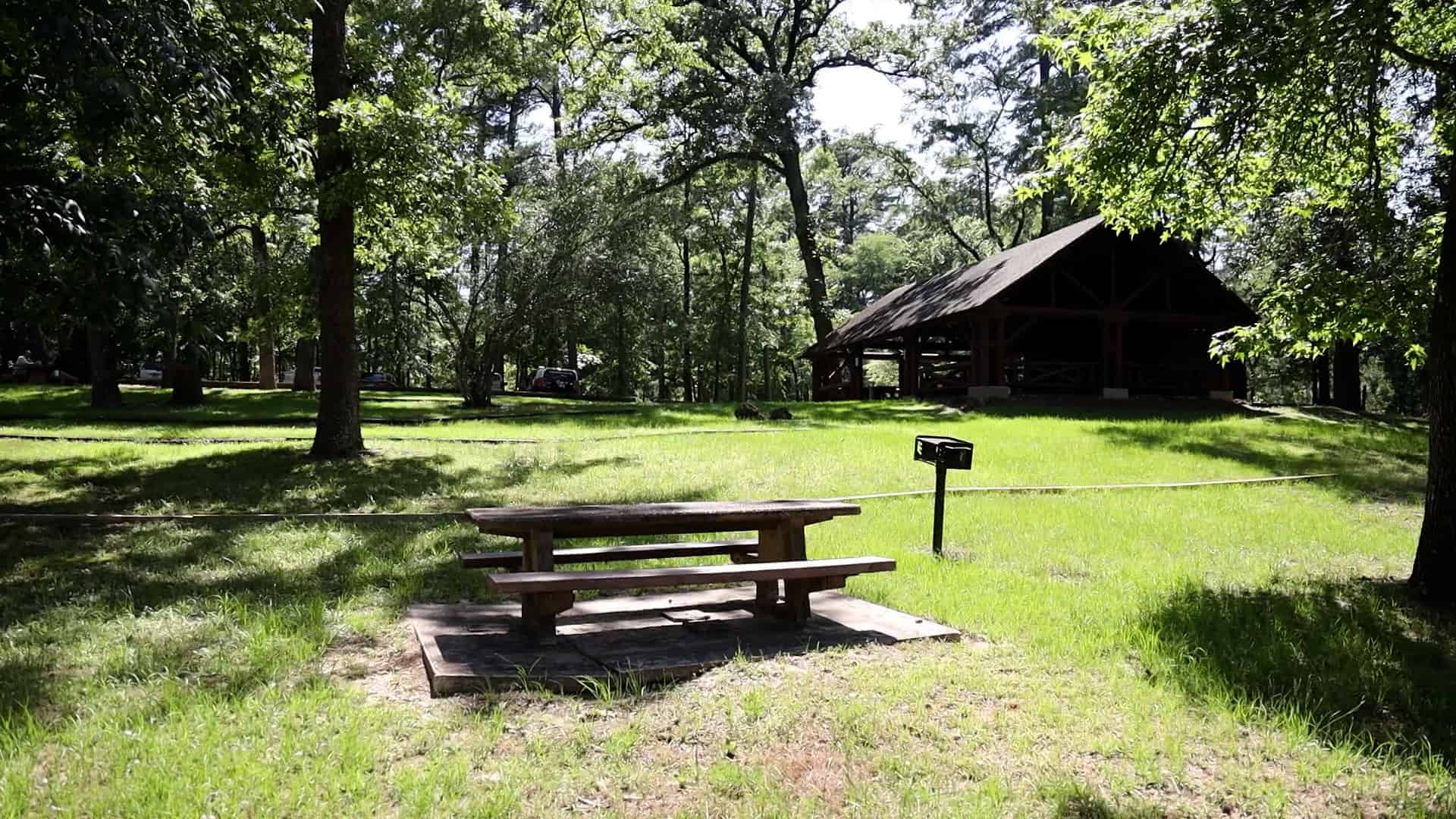 The Texas Bucket List Davy Crockett National Forest