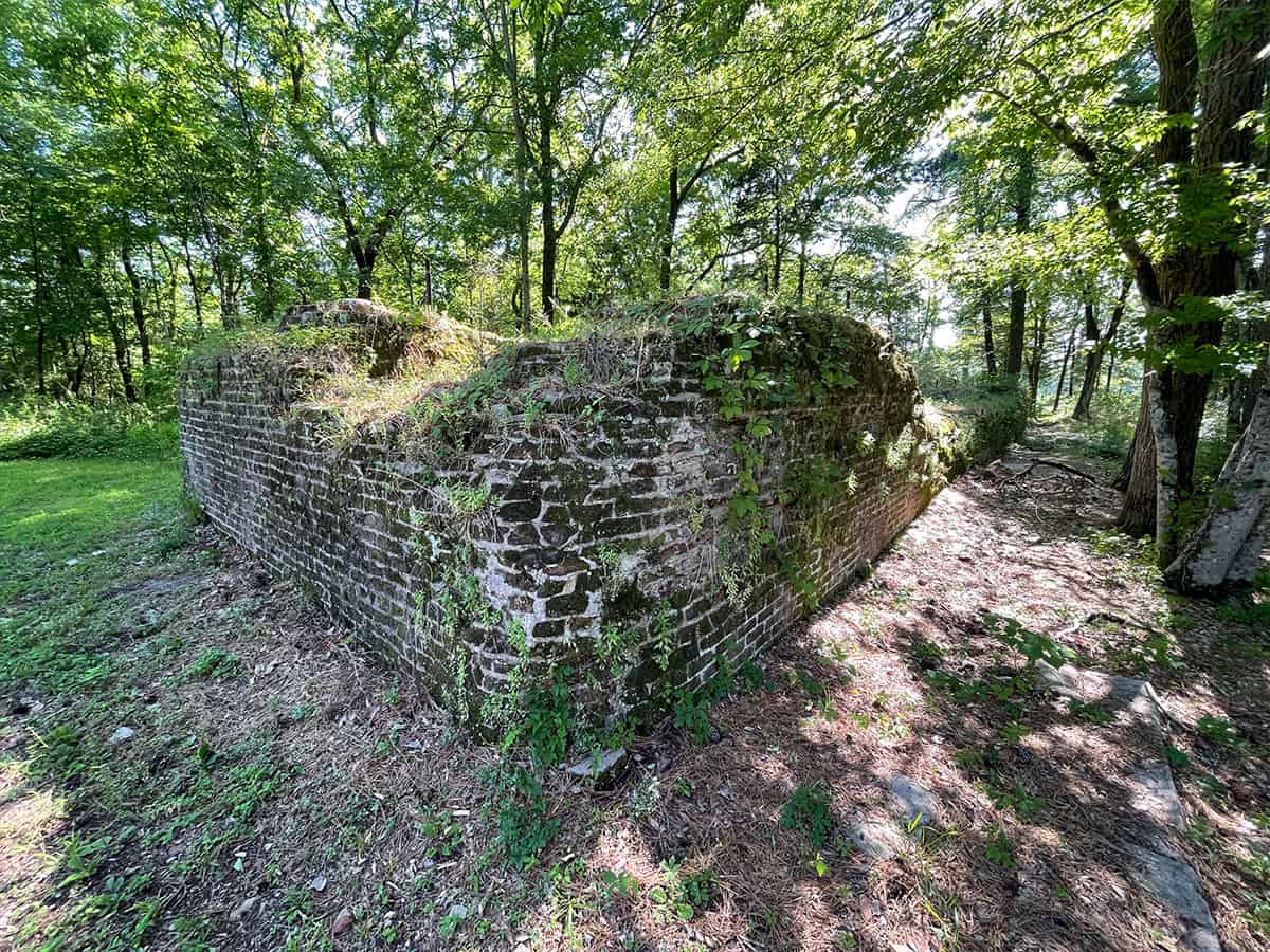 The Texas Bucket List Davy Crockett National Forest The Texas